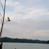 raden_ontoseno91