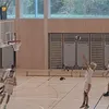 sergejnovak470