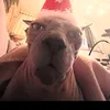 xaus1tg_