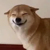 user.nek12345