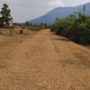 beangthuaphai