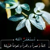 amal_6740