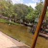 elvissiqueira08