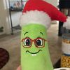 intensepickle