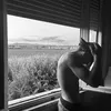 santoro23_