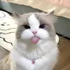 jyasonibo