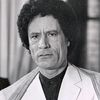 ahmedalmasmari1