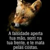 jeanrodrigues191