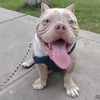 billymendoza07