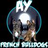 ayfrenchies