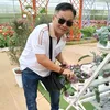 lapho31