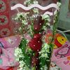 pairin2533