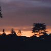 nightyskyy