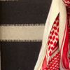alshaqawi20