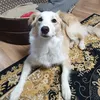 adamsize0naver.com