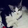 wridawrida365
