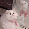 amirah_azmi_harharah