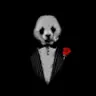 dev.panda.code