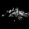 war___archive
