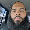 quis3286