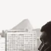 carlosbrasil237