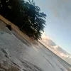 danielealves432