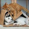 mabelsmother
