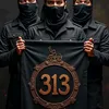 31_3.x