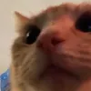 asgardianhunter