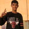 fathi_2010_