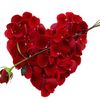 roqayah_shaqra