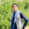 mashal_shirzai
