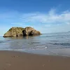 anditaakrl