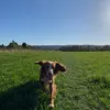 lknottoday