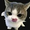 s_woly