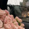 wishes_lmr