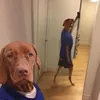 jennifergranqvst
