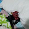alex_quirozz