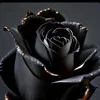 Su💔🥀