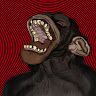 6talkingmonkey9