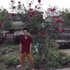 .manhcuong_official