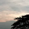 jhonleiy032