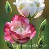 user74884805