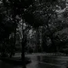 konrqd_k