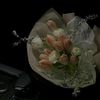 arieszen_09