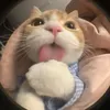 _be_lion02_