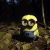 arindaylight