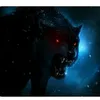 _kairat_457