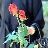 ورده الربيع