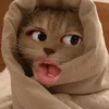 roorrrsm